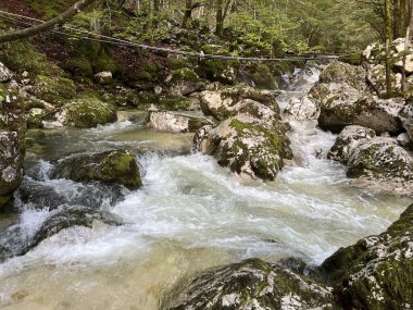 Lepena, Bovec (Triglav Ulusal Parkı, Slovenya) - Der Bach Lepenjica im Bereich des Wasserhains von Sunik, Bovec (Nationalpark Triglav, Slowenien))