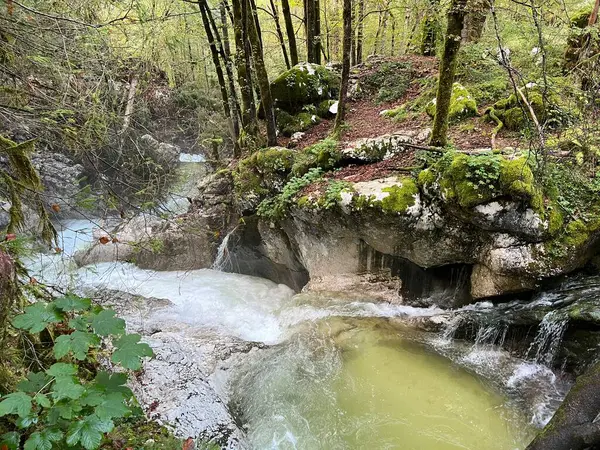 Lepena, Bovec (Triglav Ulusal Parkı, Slovenya) - Der Bach Lepenjica im Bereich des Wasserhains von Sunik, Bovec (Nationalpark Triglav, Slowenien))