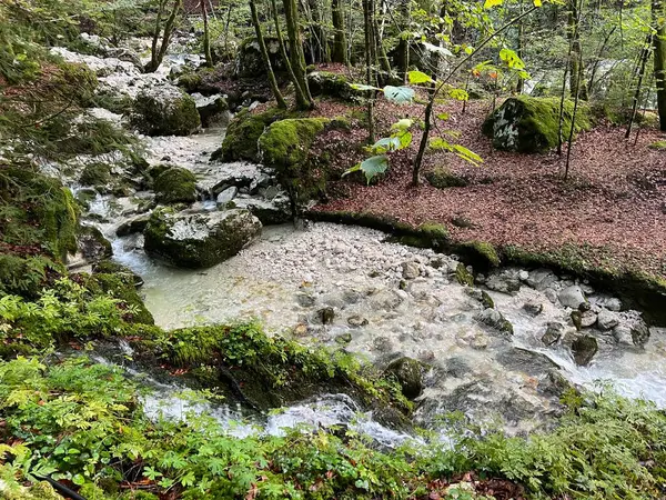 Lepena, Bovec (Triglav Ulusal Parkı, Slovenya) - Der Bach Lepenjica im Bereich des Wasserhains von Sunik, Bovec (Nationalpark Triglav, Slowenien))