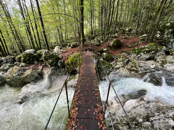 Sunik 'in su koruluğu, Bovec (Triglav Ulusal Parkı, Slovenya) - Wanderwege entlang des Baches Lepenca im Bereich des Wasserhains von Sunik, Bovec (Triglav-Nationalpark, Slowenien))