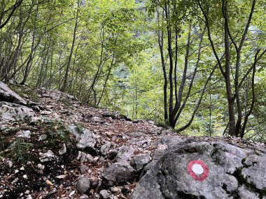 Lepenca deresi boyunca yürüyüş patikaları, Bovec (Triglav Ulusal Parkı, Slovenya) - Wanderwege entlang des Baches Lepenca, Bovec (Nationalpark Triglav, Slowenien) - Pohodpoti ob potoku Lepenca, Bovec (Triglavski narodni parkı, Slovenija)