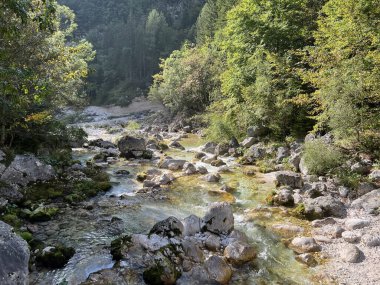 Soca Nehri 'nin üst kısmı, Trenta (Triglav Ulusal Parkı, Slovenya) - Der obere Teil des Flusses Soca, Trenta (Triglav-Nationalpark, Slowenien) - Zgornji del reke Soce, Trenta (Triglavski narodni parkı, Slovenya))