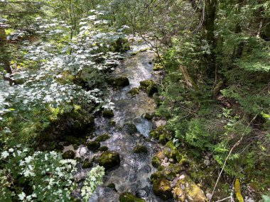 Soca Nehri 'nin üst kısmı, Trenta (Triglav Ulusal Parkı, Slovenya) - Der obere Teil des Flusses Soca, Trenta (Triglav-Nationalpark, Slowenien) - Zgornji del reke Soce, Trenta (Triglavski narodni parkı, Slovenya))