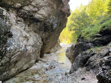 Mlinarica vadisi veya Mlinarica Kanyonu, Trenta (Triglav Ulusal Parkı, Slovenya) - Die Flussbetten von Mlinarica oder Troege der Mlinarica, Trenta (Triglav-Nationalpark, Slowenien) - Korita Mlinarice, Trenta (Triglavski narodni parkı, Slovenya))