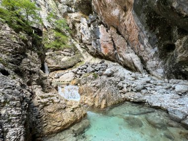 Mlinarica vadisi veya Mlinarica Kanyonu, Trenta (Triglav Ulusal Parkı, Slovenya) - Die Flussbetten von Mlinarica oder Troege der Mlinarica, Trenta (Triglav-Nationalpark, Slowenien) - Korita Mlinarice, Trenta (Triglavski narodni parkı, Slovenya))
