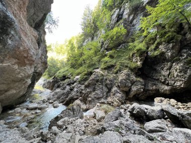 Mlinarica vadisi veya Mlinarica Kanyonu, Trenta (Triglav Ulusal Parkı, Slovenya) - Die Flussbetten von Mlinarica oder Troege der Mlinarica, Trenta (Triglav-Nationalpark, Slowenien) - Korita Mlinarice, Trenta (Triglavski narodni parkı, Slovenya))