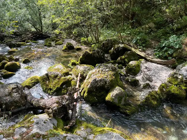 Soca Nehri 'nin üst kısmı, Trenta (Triglav Ulusal Parkı, Slovenya) - Der obere Teil des Flusses Soca, Trenta (Triglav-Nationalpark, Slowenien) - Zgornji del reke Soce, Trenta (Triglavski narodni parkı, Slovenya))