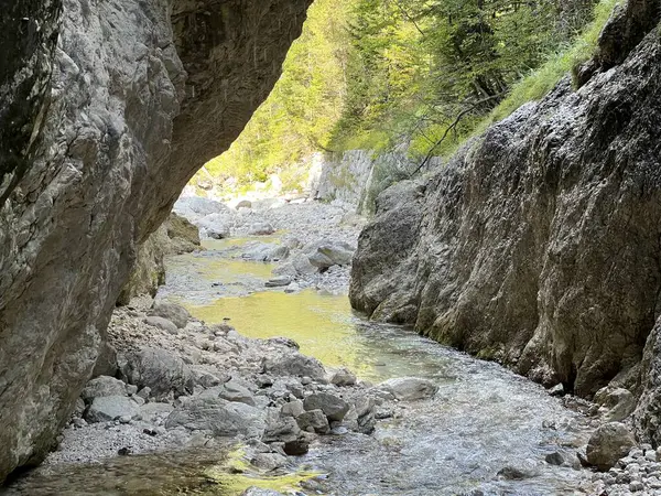 Mlinarica vadisi veya Mlinarica Kanyonu, Trenta (Triglav Ulusal Parkı, Slovenya) - Die Flussbetten von Mlinarica oder Troege der Mlinarica, Trenta (Triglav-Nationalpark, Slowenien) - Korita Mlinarice, Trenta (Triglavski narodni parkı, Slovenya))