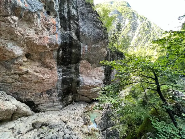 Mlinarica vadisi veya Mlinarica Kanyonu, Trenta (Triglav Ulusal Parkı, Slovenya) - Die Flussbetten von Mlinarica oder Troege der Mlinarica, Trenta (Triglav-Nationalpark, Slowenien) - Korita Mlinarice, Trenta (Triglavski narodni parkı, Slovenya))