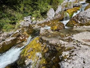 Soca, Trenta (Triglav Milli Parkı, Slovenya) - Wasserfaelle und Kaskaden unter der Quelle des Flusses Soca, Trenta (Triglav-Nationalpark, Slowenien))