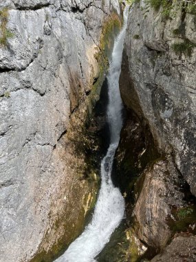Soca, Trenta (Triglav Milli Parkı, Slovenya) - Wasserfaelle und Kaskaden unter der Quelle des Flusses Soca, Trenta (Triglav-Nationalpark, Slowenien))