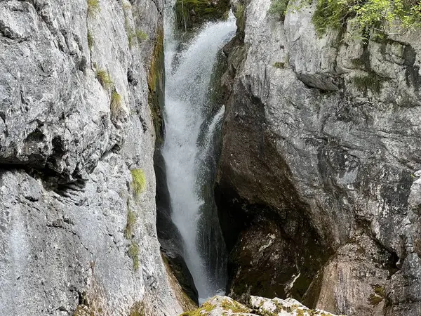 Soca, Trenta (Triglav Milli Parkı, Slovenya) - Wasserfaelle und Kaskaden unter der Quelle des Flusses Soca, Trenta (Triglav-Nationalpark, Slowenien))