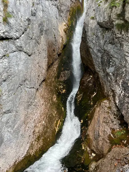 Soca, Trenta (Triglav Milli Parkı, Slovenya) - Wasserfaelle und Kaskaden unter der Quelle des Flusses Soca, Trenta (Triglav-Nationalpark, Slowenien))