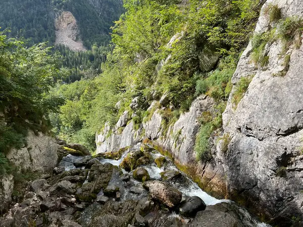 Soca, Trenta (Triglav Milli Parkı, Slovenya) - Wasserfaelle und Kaskaden unter der Quelle des Flusses Soca, Trenta (Triglav-Nationalpark, Slowenien))