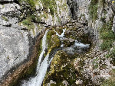 Soca Nehri 'nin karst kaynağı Trenta (Triglav Ulusal Parkı, Slovenya) - Die Karstquelle des Flusses Soca, Trenta (Triglav-Nationalpark, Slowenien) - Kraski izvir reke Soce, Trenta (Triglavski narodni parkı, Slovenya))