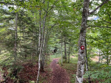 Zadnja Trenta 'daki Suhi Potok, Bovec (Triglav Ulusal Parkı, Slovenya) - Zadnja Trenta' daki Wanderwege entlang des Baches Suhi Potok (Triglav-Nationalpark, Slowenien) - Pohodniske poti ob Suhem potoku v Zadnji Trenti, Slovenya