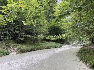 Zadnja Trenta 'daki Suhi potok akıntısı veya Dry Creek, Bovec (Triglav Ulusal Parkı, Slovenya) - Zadnja Trenta' daki Der Bach Suhi potok (Triglav-Nationalpark, Slowenien) - Suhi potok (desni pritok Vrsnika), Bovec (Trigavski narodni parkı, Slovenya))