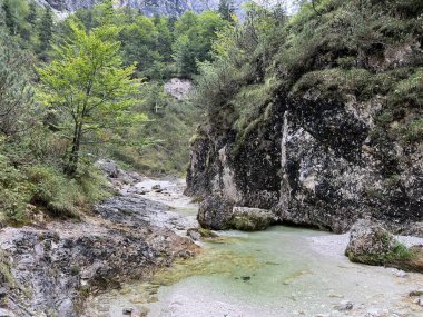 Zadnja Trenta 'daki Suhi potok akıntısı veya Dry Creek, Bovec (Triglav Ulusal Parkı, Slovenya) - Zadnja Trenta' daki Der Bach Suhi potok (Triglav-Nationalpark, Slowenien) - Suhi potok (desni pritok Vrsnika), Bovec (Trigavski narodni parkı, Slovenya))