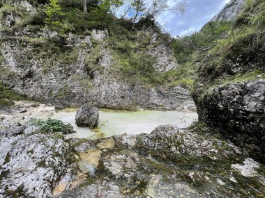 Zadnja Trenta 'daki Suhi potok akıntısı veya Dry Creek, Bovec (Triglav Ulusal Parkı, Slovenya) - Zadnja Trenta' daki Der Bach Suhi potok (Triglav-Nationalpark, Slowenien) - Suhi potok (desni pritok Vrsnika), Bovec (Trigavski narodni parkı, Slovenya))