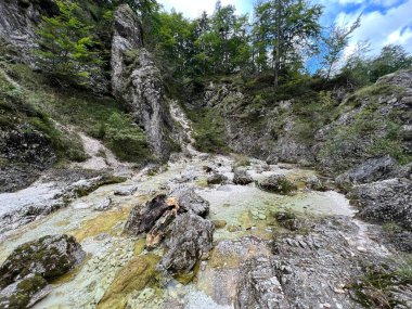 Zadnja Trenta 'daki Suhi potok akıntısı veya Dry Creek, Bovec (Triglav Ulusal Parkı, Slovenya) - Zadnja Trenta' daki Der Bach Suhi potok (Triglav-Nationalpark, Slowenien) - Suhi potok (desni pritok Vrsnika), Bovec (Trigavski narodni parkı, Slovenya))