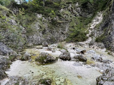Zadnja Trenta 'daki Suhi potok akıntısı veya Dry Creek, Bovec (Triglav Ulusal Parkı, Slovenya) - Zadnja Trenta' daki Der Bach Suhi potok (Triglav-Nationalpark, Slowenien) - Suhi potok (desni pritok Vrsnika), Bovec (Trigavski narodni parkı, Slovenya))