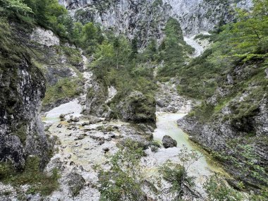 Zadnja Trenta 'daki Suhi potok akıntısı veya Dry Creek, Bovec (Triglav Ulusal Parkı, Slovenya) - Zadnja Trenta' daki Der Bach Suhi potok (Triglav-Nationalpark, Slowenien) - Suhi potok (desni pritok Vrsnika), Bovec (Trigavski narodni parkı, Slovenya))