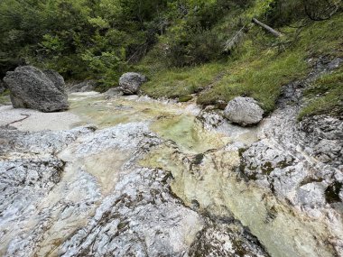 Zadnja Trenta 'daki Suhi potok akıntısı veya Dry Creek, Bovec (Triglav Ulusal Parkı, Slovenya) - Zadnja Trenta' daki Der Bach Suhi potok (Triglav-Nationalpark, Slowenien) - Suhi potok (desni pritok Vrsnika), Bovec (Trigavski narodni parkı, Slovenya))