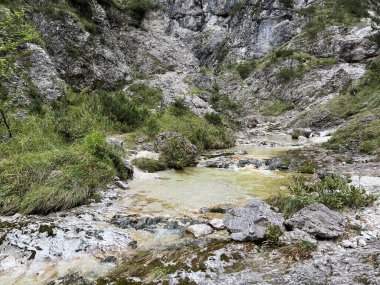 Zadnja Trenta 'daki Suhi potok akıntısı veya Dry Creek, Bovec (Triglav Ulusal Parkı, Slovenya) - Zadnja Trenta' daki Der Bach Suhi potok (Triglav-Nationalpark, Slowenien) - Suhi potok (desni pritok Vrsnika), Bovec (Trigavski narodni parkı, Slovenya))