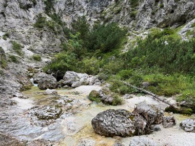 Zadnja Trenta 'daki Suhi potok akıntısı veya Dry Creek, Bovec (Triglav Ulusal Parkı, Slovenya) - Zadnja Trenta' daki Der Bach Suhi potok (Triglav-Nationalpark, Slowenien) - Suhi potok (desni pritok Vrsnika), Bovec (Trigavski narodni parkı, Slovenya))