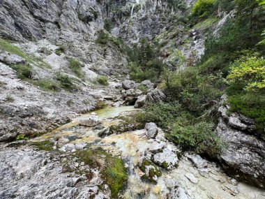 Zadnja Trenta 'daki Suhi potok akıntısı veya Dry Creek, Bovec (Triglav Ulusal Parkı, Slovenya) - Zadnja Trenta' daki Der Bach Suhi potok (Triglav-Nationalpark, Slowenien) - Suhi potok (desni pritok Vrsnika), Bovec (Trigavski narodni parkı, Slovenya))