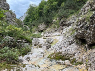 Zadnja Trenta 'daki Suhi potok akıntısı veya Dry Creek, Bovec (Triglav Ulusal Parkı, Slovenya) - Zadnja Trenta' daki Der Bach Suhi potok (Triglav-Nationalpark, Slowenien) - Suhi potok (desni pritok Vrsnika), Bovec (Trigavski narodni parkı, Slovenya))