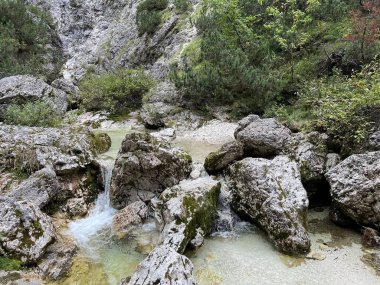 Zadnja Trenta 'daki Suhi potok akıntısı veya Dry Creek, Bovec (Triglav Ulusal Parkı, Slovenya) - Zadnja Trenta' daki Der Bach Suhi potok (Triglav-Nationalpark, Slowenien) - Suhi potok (desni pritok Vrsnika), Bovec (Trigavski narodni parkı, Slovenya))