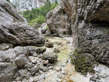 Zadnja Trenta 'daki Suhi potok akıntısı veya Dry Creek, Bovec (Triglav Ulusal Parkı, Slovenya) - Zadnja Trenta' daki Der Bach Suhi potok (Triglav-Nationalpark, Slowenien) - Suhi potok (desni pritok Vrsnika), Bovec (Trigavski narodni parkı, Slovenya))