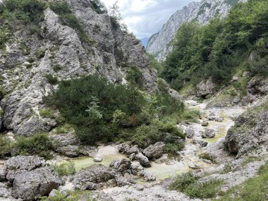 Zadnja Trenta 'daki Suhi potok akıntısı veya Dry Creek, Bovec (Triglav Ulusal Parkı, Slovenya) - Zadnja Trenta' daki Der Bach Suhi potok (Triglav-Nationalpark, Slowenien) - Suhi potok (desni pritok Vrsnika), Bovec (Trigavski narodni parkı, Slovenya))