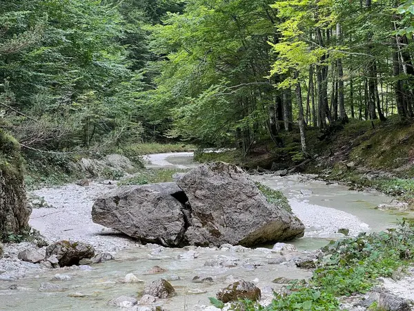 Zadnja Trenta 'daki Suhi potok akıntısı veya Dry Creek, Bovec (Triglav Ulusal Parkı, Slovenya) - Zadnja Trenta' daki Der Bach Suhi potok (Triglav-Nationalpark, Slowenien) - Suhi potok (desni pritok Vrsnika), Bovec (Trigavski narodni parkı, Slovenya))