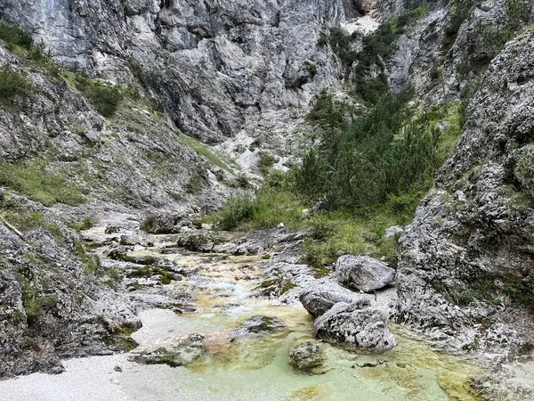 Zadnja Trenta 'daki Suhi potok akıntısı veya Dry Creek, Bovec (Triglav Ulusal Parkı, Slovenya) - Zadnja Trenta' daki Der Bach Suhi potok (Triglav-Nationalpark, Slowenien) - Suhi potok (desni pritok Vrsnika), Bovec (Trigavski narodni parkı, Slovenya))