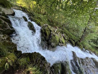 Gleichnamigen Naturpark und ueber dem Brienzersee 'deki Giessbach Şelalesi ve Brienz Gölü üzerinde (Schweiz)