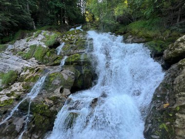 Gleichnamigen Naturpark und ueber dem Brienzersee 'deki Giessbach Şelalesi ve Brienz Gölü üzerinde (Schweiz)