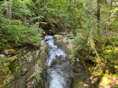 Brienz Gölü 'nün yukarısındaki Giessbach deresi (Brienzersee) ve İsviçre' nin Bern Kantonu (Kanton Bern, Schweiz) adlı doğa parkında)