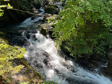 Brienz Gölü 'nün yukarısındaki Giessbach deresi (Brienzersee) ve İsviçre' nin Bern Kantonu (Kanton Bern, Schweiz) adlı doğa parkında)