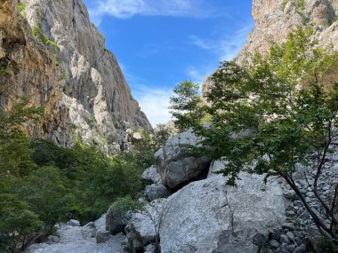 Velika Paklenica Kanyonu, Starigrad (Paklenica Ulusal Parkı, Hırvatistan) - Die Schlucht von Velika Paklenica, Starigrad (Nationalpark Paklenica, Kroatien) - Kanjon Velike Paklenice, Starigrad (Nacionalni parkı Paklenica, Hrvatska)