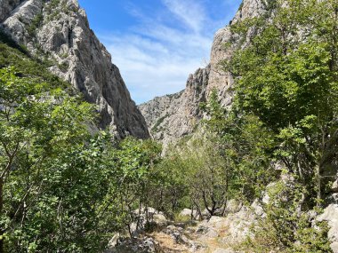 Velika Paklenica Kanyonu, Starigrad (Paklenica Ulusal Parkı, Hırvatistan) - Die Schlucht von Velika Paklenica, Starigrad (Nationalpark Paklenica, Kroatien) - Kanjon Velike Paklenice, Starigrad (Nacionalni parkı Paklenica, Hrvatska)