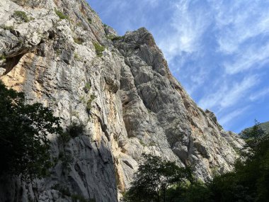 Velika Paklenica kanyonu, Starigrad (Pakistan Ulusal Parkı, Hırvatistan) - Kalksteinfelsen in der Schlucht Velika Paklenica, Starigrad (Nationalpark Paklenica, Kroatien) - Vapnenacke stijene u Velikoj Paklenici, Starigrad (Hrvatska))