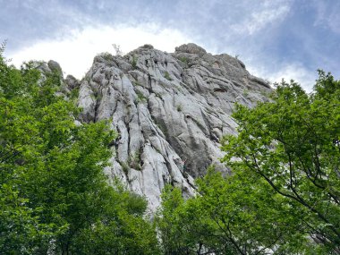 Velika Paklenica kanyonu, Starigrad (Pakistan Ulusal Parkı, Hırvatistan) - Kalksteinfelsen in der Schlucht Velika Paklenica, Starigrad (Nationalpark Paklenica, Kroatien) - Vapnenacke stijene u Velikoj Paklenici, Starigrad (Hrvatska))