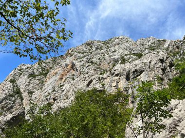 Velika Paklenica kanyonu, Starigrad (Pakistan Ulusal Parkı, Hırvatistan) - Kalksteinfelsen in der Schlucht Velika Paklenica, Starigrad (Nationalpark Paklenica, Kroatien) - Vapnenacke stijene u Velikoj Paklenici, Starigrad (Hrvatska))
