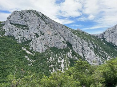 Velika Paklenica kanyonu, Starigrad (Pakistan Ulusal Parkı, Hırvatistan) - Kalksteinfelsen in der Schlucht Velika Paklenica, Starigrad (Nationalpark Paklenica, Kroatien) - Vapnenacke stijene u Velikoj Paklenici, Starigrad (Hrvatska))
