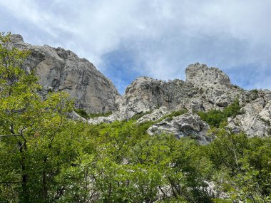 Velika Paklenica kanyonu, Starigrad (Pakistan Ulusal Parkı, Hırvatistan) - Kalksteinfelsen in der Schlucht Velika Paklenica, Starigrad (Nationalpark Paklenica, Kroatien) - Vapnenacke stijene u Velikoj Paklenici, Starigrad (Hrvatska))