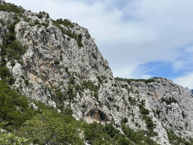 Velika Paklenica kanyonu, Starigrad (Pakistan Ulusal Parkı, Hırvatistan) - Kalksteinfelsen in der Schlucht Velika Paklenica, Starigrad (Nationalpark Paklenica, Kroatien) - Vapnenacke stijene u Velikoj Paklenici, Starigrad (Hrvatska))