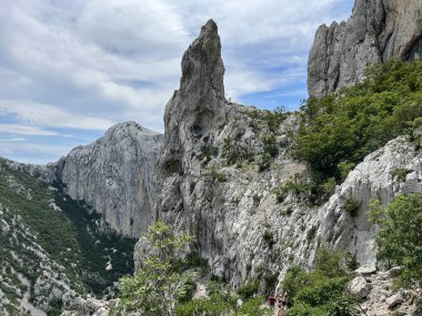 Velika Paklenica kanyonu, Starigrad (Pakistan Ulusal Parkı, Hırvatistan) - Kalksteinfelsen in der Schlucht Velika Paklenica, Starigrad (Nationalpark Paklenica, Kroatien) - Vapnenacke stijene u Velikoj Paklenici, Starigrad (Hrvatska))