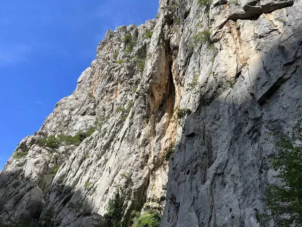 Velika Paklenica kanyonu, Starigrad (Pakistan Ulusal Parkı, Hırvatistan) - Kalksteinfelsen in der Schlucht Velika Paklenica, Starigrad (Nationalpark Paklenica, Kroatien) - Vapnenacke stijene u Velikoj Paklenici, Starigrad (Hrvatska))